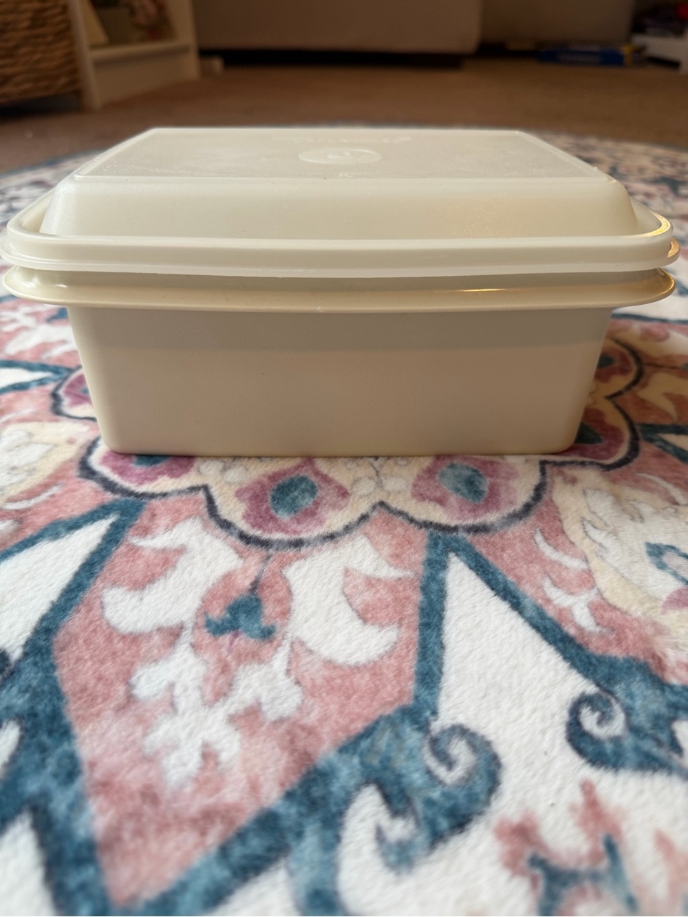 Vintage Tupperware Ice Cream Keeper